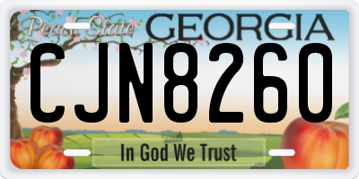 GA license plate CJN8260
