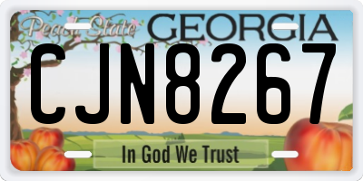 GA license plate CJN8267