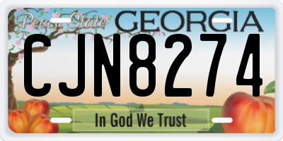 GA license plate CJN8274