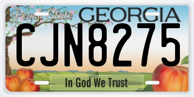 GA license plate CJN8275