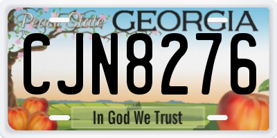 GA license plate CJN8276
