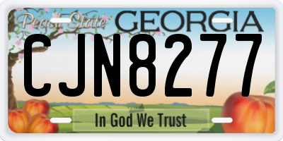 GA license plate CJN8277