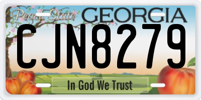 GA license plate CJN8279
