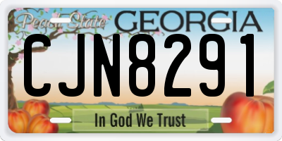 GA license plate CJN8291