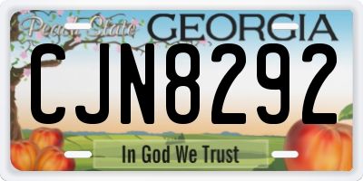 GA license plate CJN8292