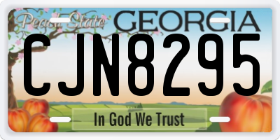 GA license plate CJN8295