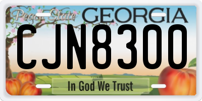 GA license plate CJN8300