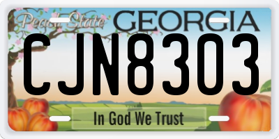 GA license plate CJN8303