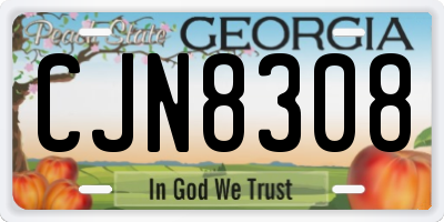 GA license plate CJN8308