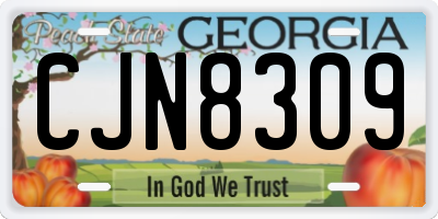 GA license plate CJN8309