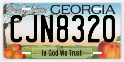 GA license plate CJN8320