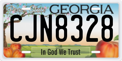 GA license plate CJN8328