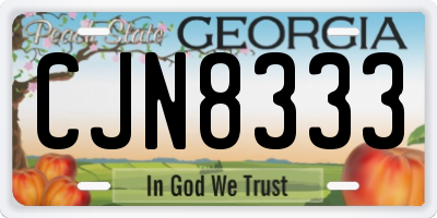 GA license plate CJN8333