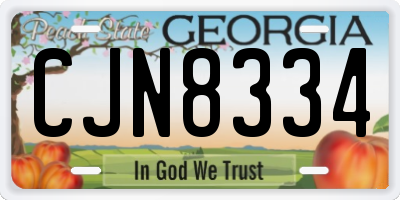 GA license plate CJN8334