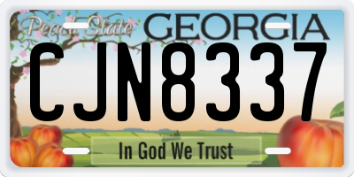 GA license plate CJN8337