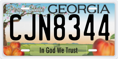 GA license plate CJN8344