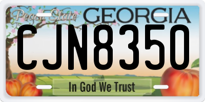 GA license plate CJN8350