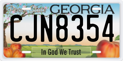 GA license plate CJN8354