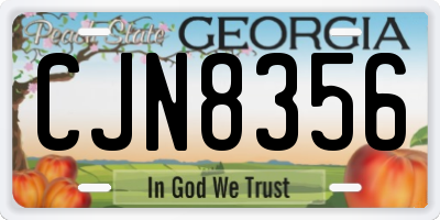 GA license plate CJN8356