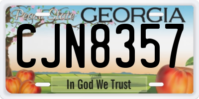 GA license plate CJN8357
