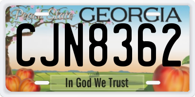GA license plate CJN8362
