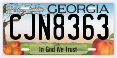 GA license plate CJN8363