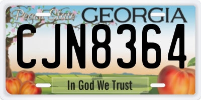 GA license plate CJN8364