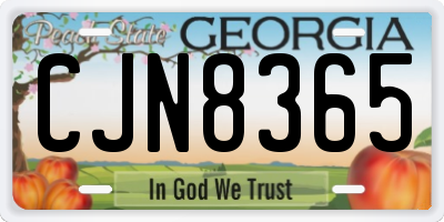 GA license plate CJN8365