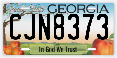 GA license plate CJN8373
