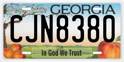 GA license plate CJN8380