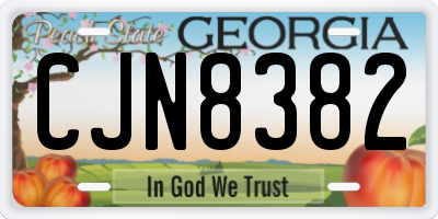 GA license plate CJN8382
