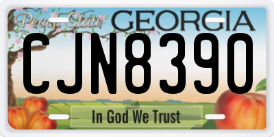 GA license plate CJN8390