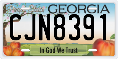 GA license plate CJN8391