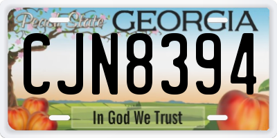 GA license plate CJN8394