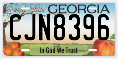 GA license plate CJN8396
