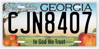 GA license plate CJN8407