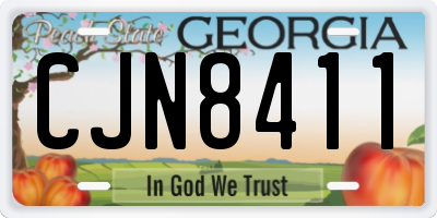 GA license plate CJN8411