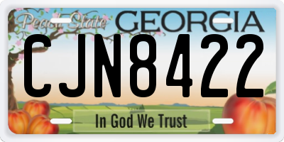 GA license plate CJN8422