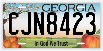 GA license plate CJN8423