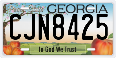 GA license plate CJN8425