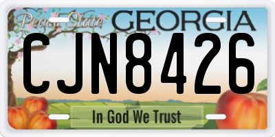 GA license plate CJN8426