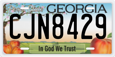 GA license plate CJN8429