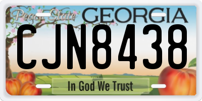GA license plate CJN8438