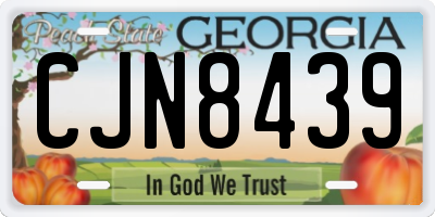 GA license plate CJN8439
