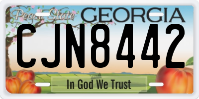 GA license plate CJN8442