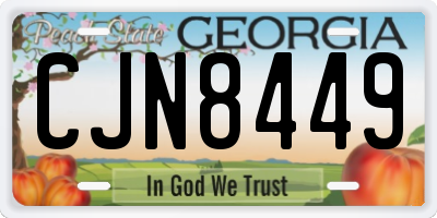 GA license plate CJN8449