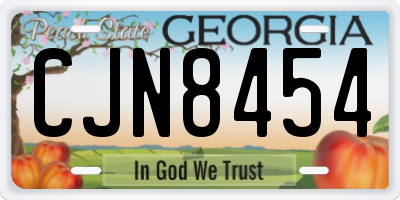 GA license plate CJN8454