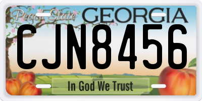 GA license plate CJN8456