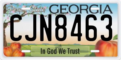 GA license plate CJN8463