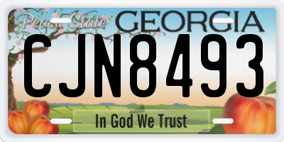 GA license plate CJN8493